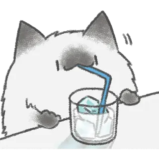 ☕️ 58bad907 chat, boire, glace, siroter, mignon, dessin animé telegram sticker