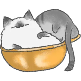 🥱 de8b875b chat, dormir, bol, animal, mignon, animal de compagnie, chaton telegram sticker