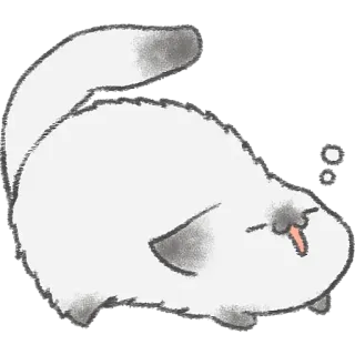 🤣 fe6090b5 chat, animal, mignon, paresseux, animal de compagnie, autocollant telegram sticker