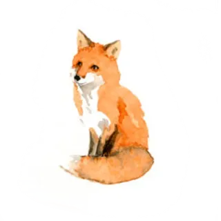 🦊 daa3933f 狐狸, 动物, 野生动物, 自然, 橙色, 插画, 贴纸 telegram sticker