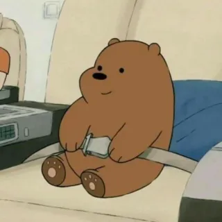 ✨ 6181d7a3 Grizzly Bear We Bare Bears クマ, 漫画, 動物, 飛行機, シートベルト, 安全 telegram sticker