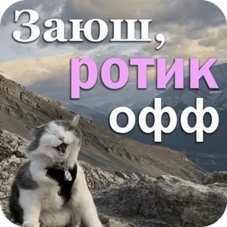 👄 06228ae0 Заюш, ротик офф chat, animal, mème, drôle, mignon telegram sticker