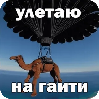 🐪 2a2b69cf улетаю на гаити chameau, parachute, ciel, vol, humour, mème, Haïti, animal telegram sticker