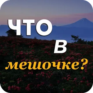 👝 377a30bd что в мешочке? russe, question, montagne, nature, fleurs telegram sticker
