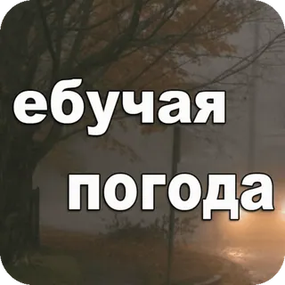 ⛈ 4de8750b ебучая
погода météo, mauvais temps, pluie, automne, automne telegram sticker