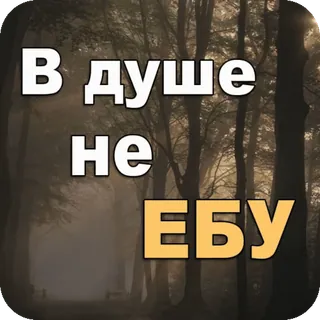 🤷‍♂️ 7edb0018 В душе не ЕБУ Gros mot russe, Forêt, Offensant telegram sticker
