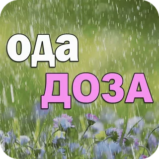 💉 baea2fd5 ОДА
ДОЗА pluie, fleurs, nature, texte, russe telegram sticker