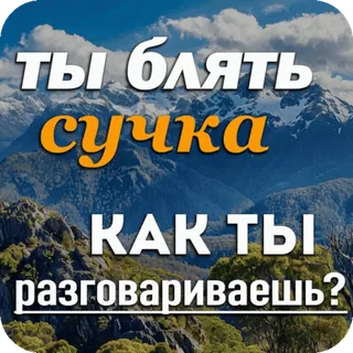 🙊 c46f9f3e ты блять сучка КАК ты разговариваешь? offensant, jurons, insulte, russe, montagnes telegram sticker
