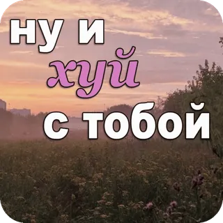 😐 f619053b ну и хуй с тобой russe, offensant, argot telegram sticker