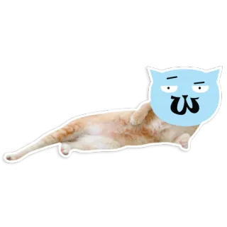 😏 d9345cb4 แมว, สติกเกอร์, สัตว์, สัตว์เลี้ยง, น่ารัก, ตลก telegram sticker