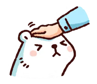 🐻 98bbba9d animal, oso, mascota, lindo, kawaii, mano, acariciando, acariciar whatsapp sticker