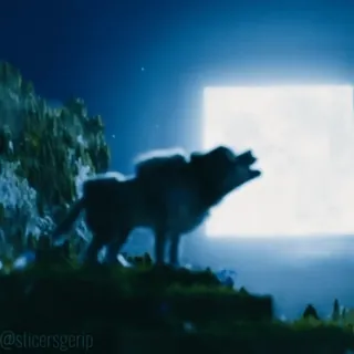 🌟 eb6ad0a0 loup, lune, nuit, hurlement, animal, silhouette, nature telegram sticker