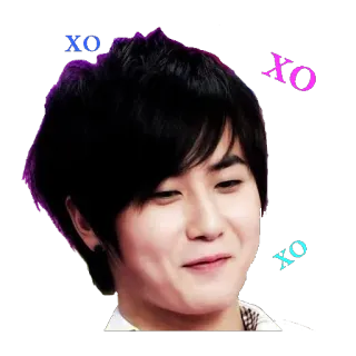 wecanflybyss501 telegram stickers