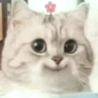 🙂 00749c80 แมว, สัตว์, น่ารัก, ดอกไม้, สัตว์เลี้ยง telegram sticker