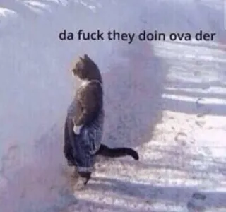 😨 2a0ae5b4 da fuck they doin ova der แมว, ตลก, มีม, สัตว์, อารมณ์ขัน, ฤดูหนาว, หิมะ telegram sticker