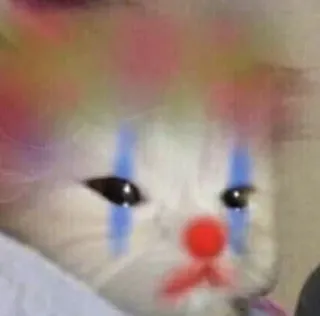 😨 6f7bf23b แมว, ตัวตลก, เศร้า, มีม, ตลก, สัตว์ telegram sticker