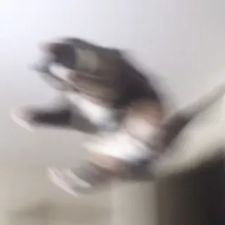 😨 b0338b41 telegram sticker