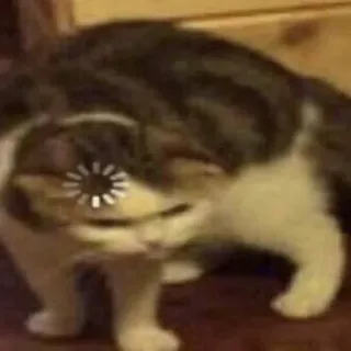 😨 d9587d37 แมว, กำลังโหลด, มีม, ตลก, อินเทอร์เน็ต, น่ารัก telegram sticker