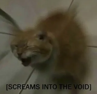 😨 ffefd2a6 [SCREAMS INTO THE VOID] แมว, กรีดร้อง, มีม, ความว่างเปล่า, ตลก, สัตว์ telegram sticker