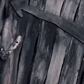 🥱 6d043383 telegram sticker