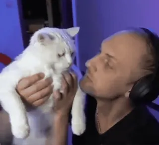 😁 89a64cef кот, мужчина, питомец, животное, милый, белый кот, наушники telegram sticker