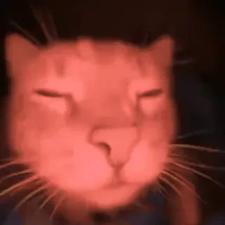 😎 b03dcf69 кот, животное, домашнее животное, домашнее животное telegram sticker