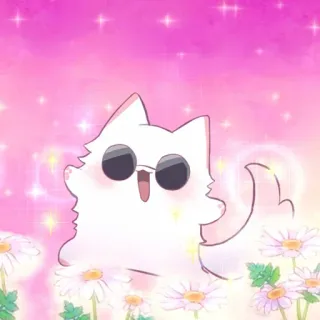 ❤️ 2e0b95ba kot, okulary przeciwsłoneczne, słodki, biały, kwiat telegram sticker