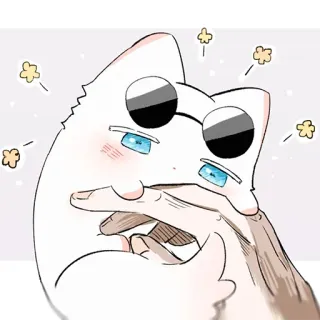 ❤️ 49ff1141 kot, okulary przeciwsłoneczne, myślenie, zwierzę, słodki telegram sticker