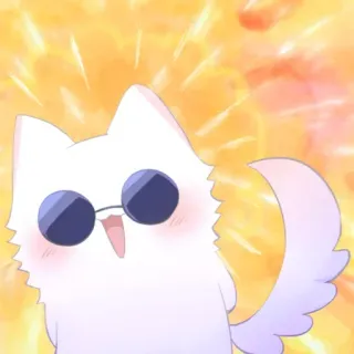 ❤️ 86523822 kot, słodki, okulary, zwierzę telegram sticker