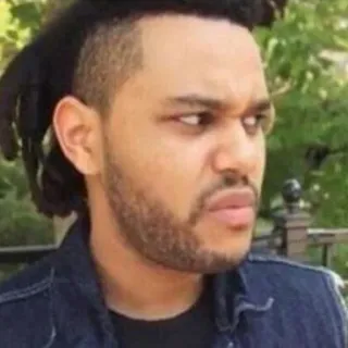 🤨 8d957423 The Weeknd ca sĩ, nhạc sĩ, người nổi tiếng, chân dung, đàn ông telegram sticker
