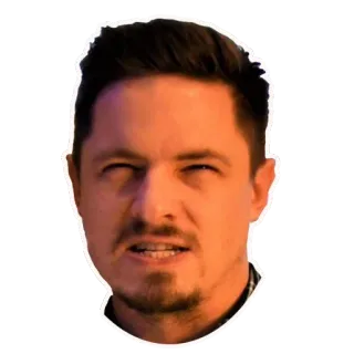 🐯 648c006f telegram sticker