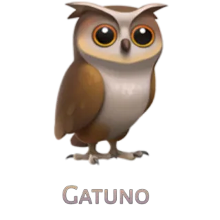 🦉 1e0a53f1 GATUNO sowa, ptak, koci, zwierzę telegram sticker