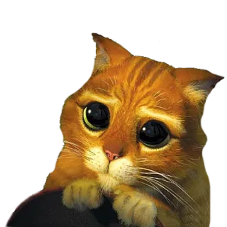 мы telegram stickers