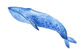 😀 8f194c00 baleine, bleu, mer, océan, animal, mammifère, aquarelle whatsapp sticker