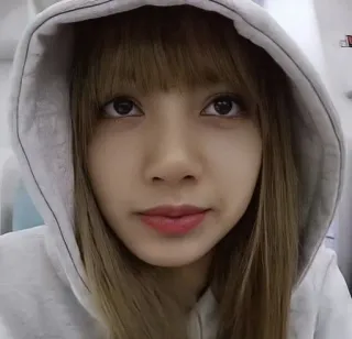 ✨ 61fb979f Lisa lisa, kpop, blackpink, idol, cantante, donna telegram sticker