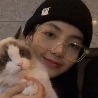 ✨ 8aa1769e donna, gatto, animale domestico, occhiali, cappello telegram sticker