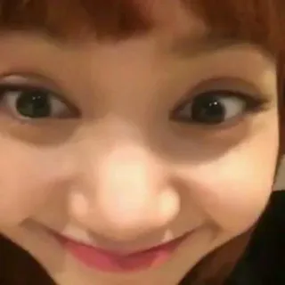 ✨ b35db50a telegram sticker