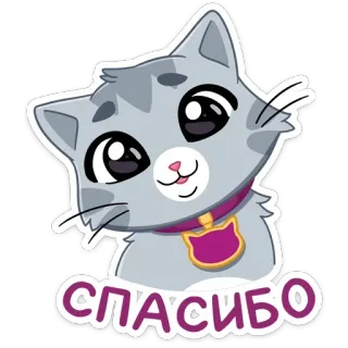 ☺️ 0dbcf28d СПАСИБО 猫, 谢谢, 可爱, 小猫, 宠物, 动物 whatsapp sticker