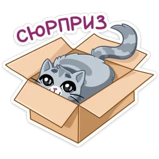 🥳 470f9205 СЮРПРИЗ 猫, 盒子, 惊喜, 可爱, 动物, 小猫 whatsapp sticker
