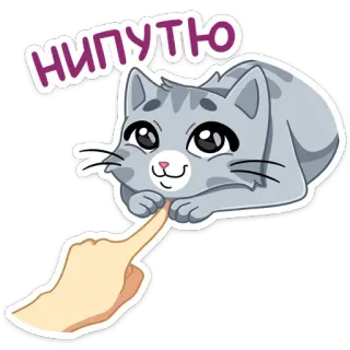 😏 6027aa38 нипутю 猫, 可爱, 小猫, 宠物, 动物, 俄罗斯, 手指, 玩耍 whatsapp sticker