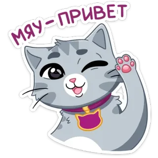 👋 b7898d2e МЯУ-ПРИВЕТ 猫, 小猫, 喵, 你好, 问候, 可爱, 宠物 whatsapp sticker