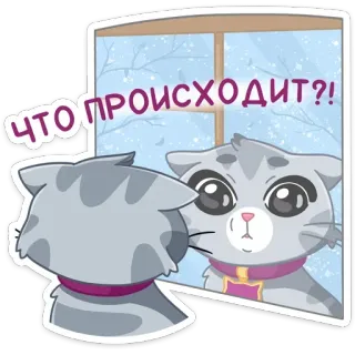 😳 fcb7a021 ЧТО ПРОИСХОДИТ?! 猫, 镜子, 问题, 俄语, 贴纸, 卡通 whatsapp sticker