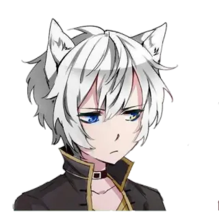 😒 8d208e72 Anime, Garoto gato, Kemonomimi, Cabelo branco, Orelhas de lobo, Furry telegram sticker