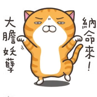 😤 12cb6e58 大膽妖孽 кот, мультфильм, смешной, китайский telegram sticker