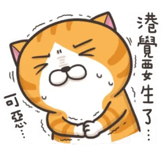 😖 6522120b 港覺西女生了...可惡... кот, стикер, мультфильм, оранжевый, китайский текст, грустный, чувство telegram sticker