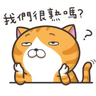 😕 e6923e75 我們很熟ㄇ？ кот, животное, вопрос, мультфильм, оскорбительный жест, стикер telegram sticker