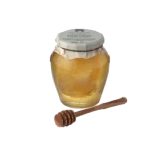 green & white aesthetic // by pine.appleee__ telegram stickers