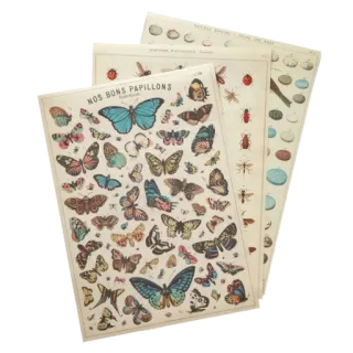 green & white aesthetic // by pine.appleee__ telegram stickers