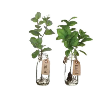 green & white aesthetic // by pine.appleee__ whatsapp stickers