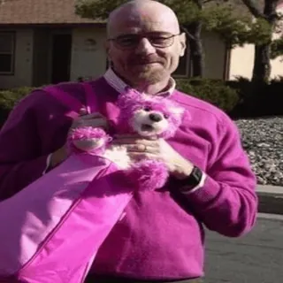 💖 2e5ec205 Walter White Breaking Bad วอลเตอร์ ไวท์, Breaking Bad, หมีสีชมพู, ตุ๊กตาหมี, ไฮเซนเบิร์ก telegram sticker